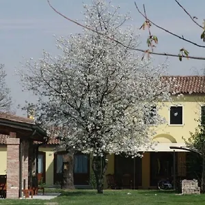  Appartamento Particolari Del Brenta